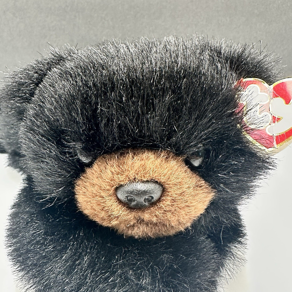 TY BABY PAWS BEAR 1996 12" Brown Grizzly Retired Vintage Stuffed Plush - Picture 2 of 12